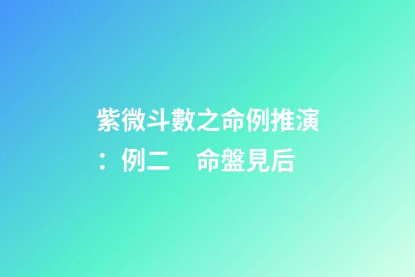 紫微斗數之命例推演：例二　命盤見后